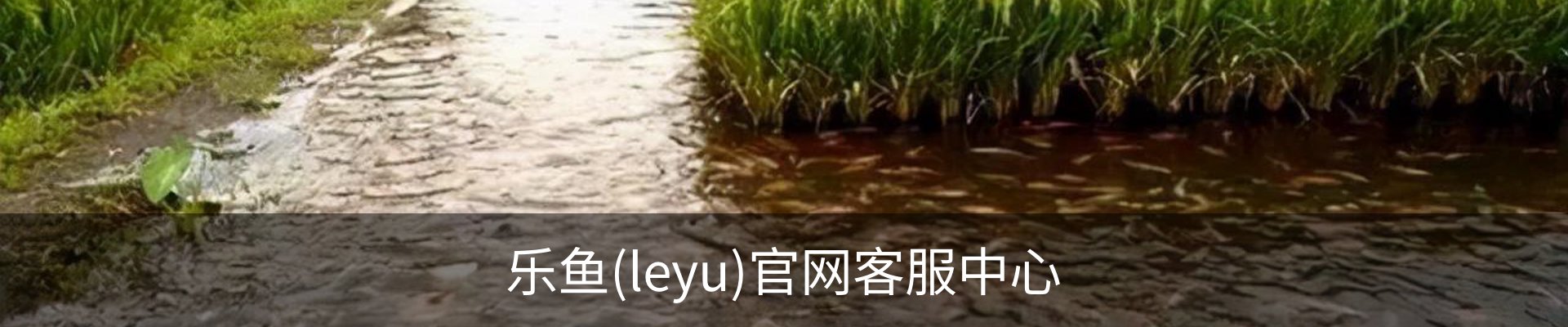 乐鱼(leyu)官网客服中心